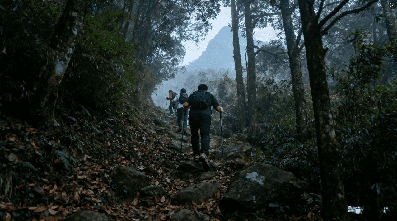 苹果旋风加速器破解版免费下载，畅享极速网络体验